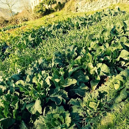 Casa de hóspedes Uxarte -alojamiento, Restaurante Y Piscinas 2*