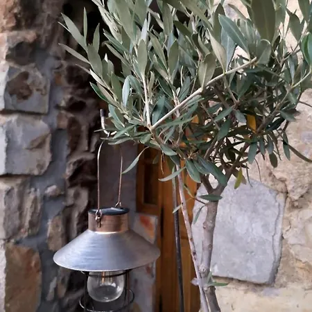 Uxarte -Alojamiento, Restaurante Y Piscinas Guest house 2*