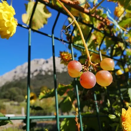 Guest house Uxarte -Alojamiento, Restaurante Y Piscinas Arrasate/Mondragon