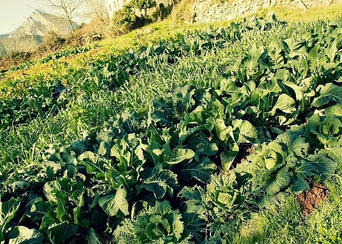 Guest house Uxarte -Alojamiento, Restaurante Y Piscinas 2*